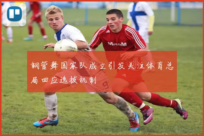 钢管舞国家队成立引发关注体育总局回应选拔机制